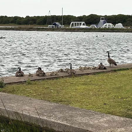 Lush View Feriehus *